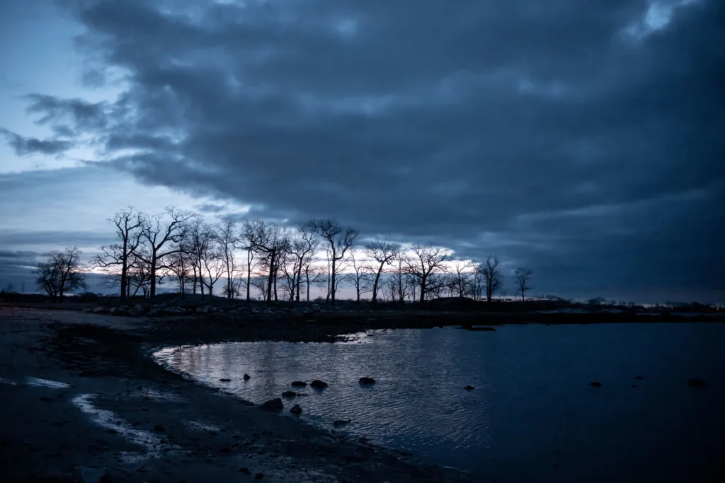 Twilight over the shoreline and bare trees at Cove Island Park in Stamford, Connecticut